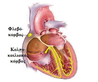 Ερεθισματαγωγό Σύστημα